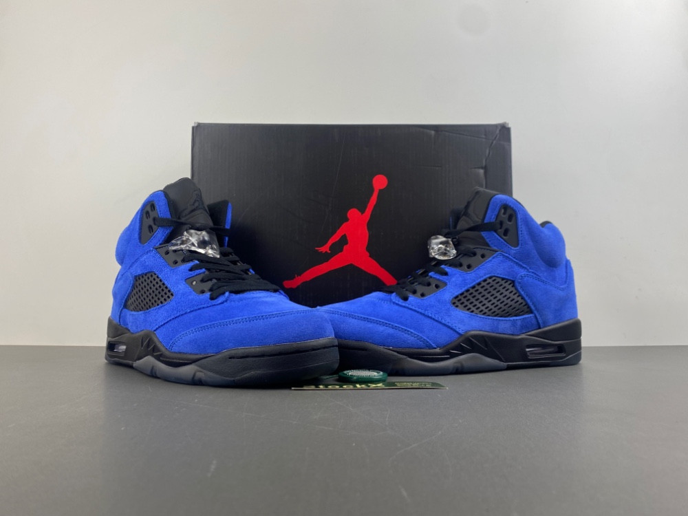 Air Jordan 5 “Nightwing” Concept DD0587 - 400