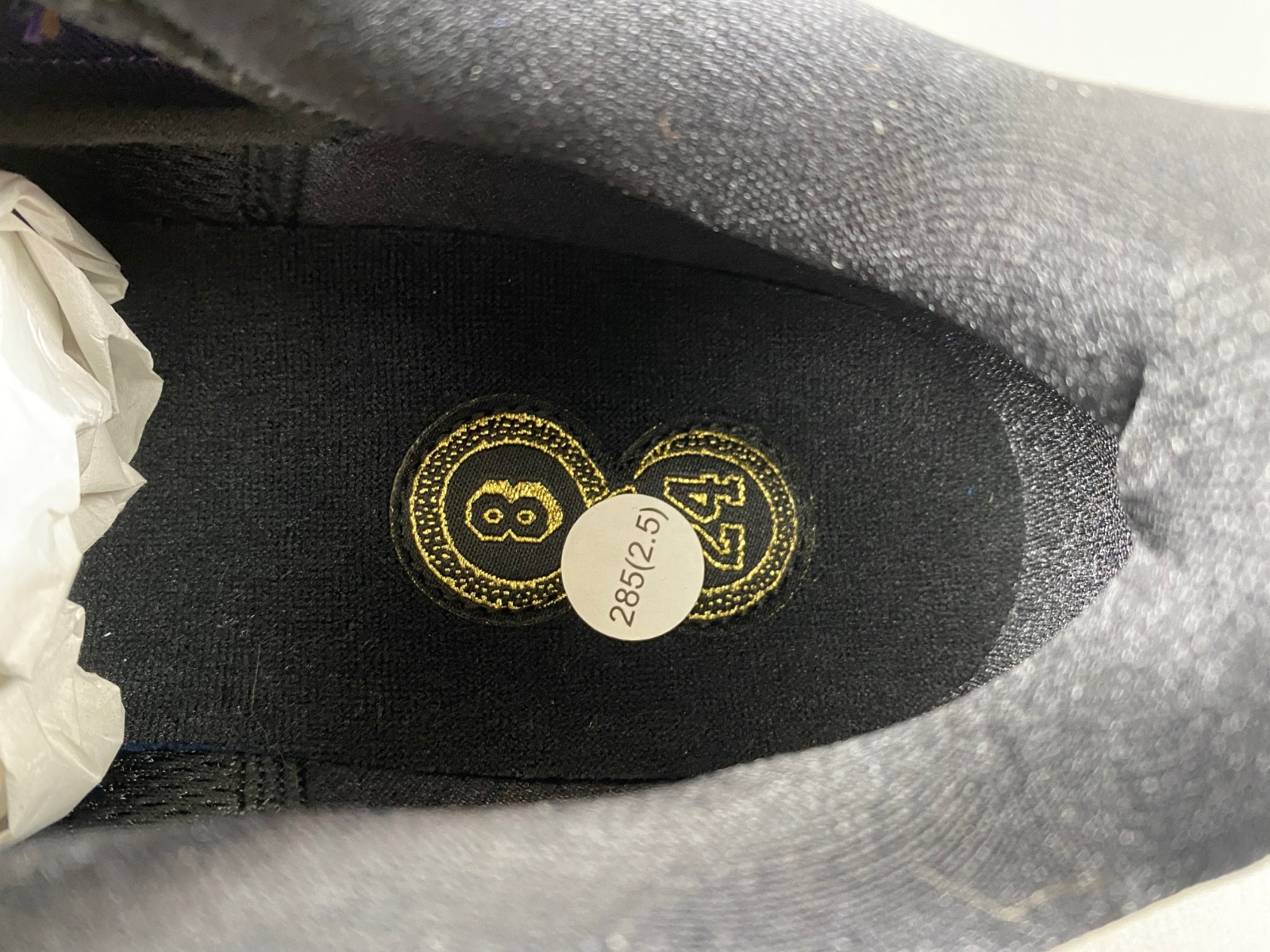 Nike Kobe 5 Protro Eggplant Year of the Mamba IB4481-500