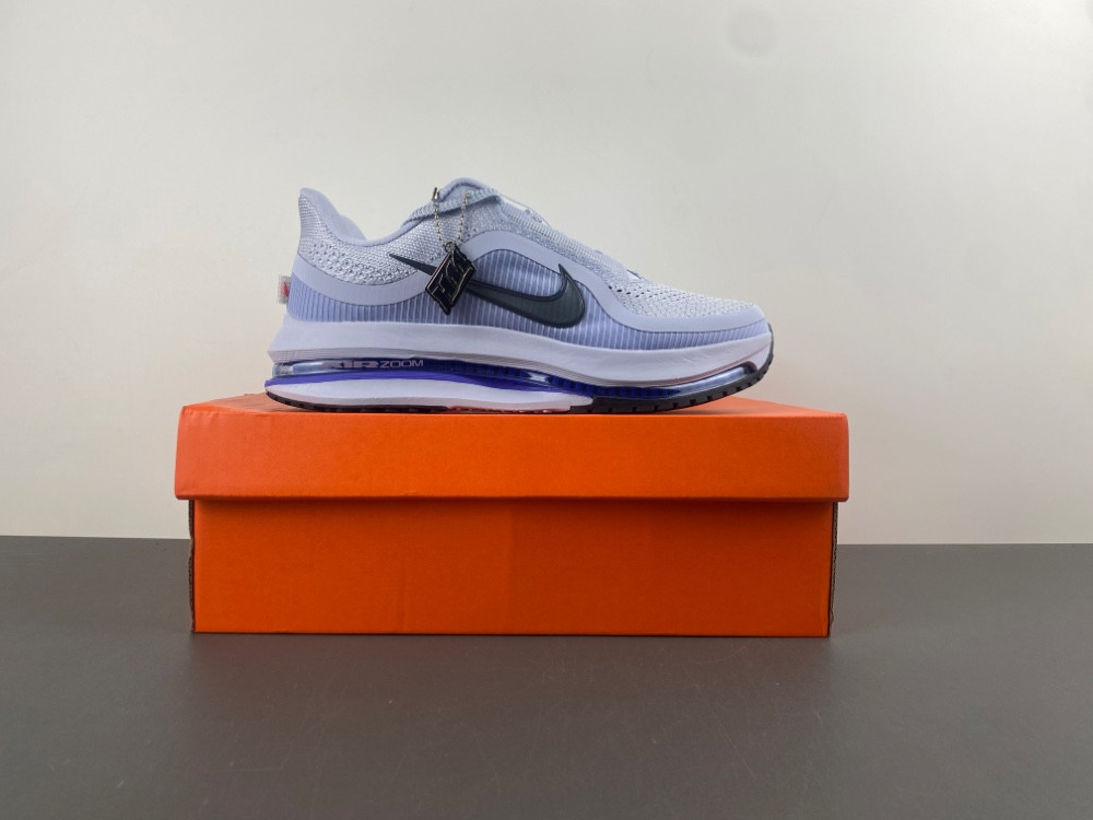 nike air zoom pegasus preM1vm persian violet hq2592-004