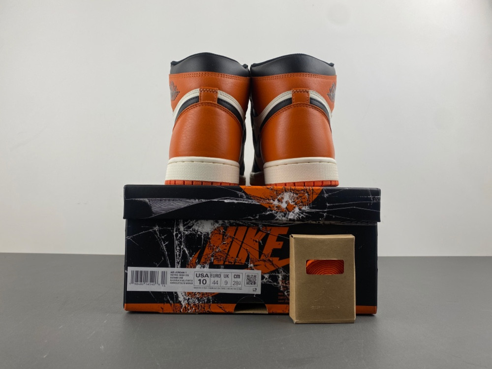 Air Jordan 1 "Shattered Backboard" DZ5485-008