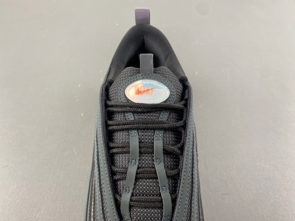 Nike Air Max 95/97 Ducks of a Feather Thunder II1711-900