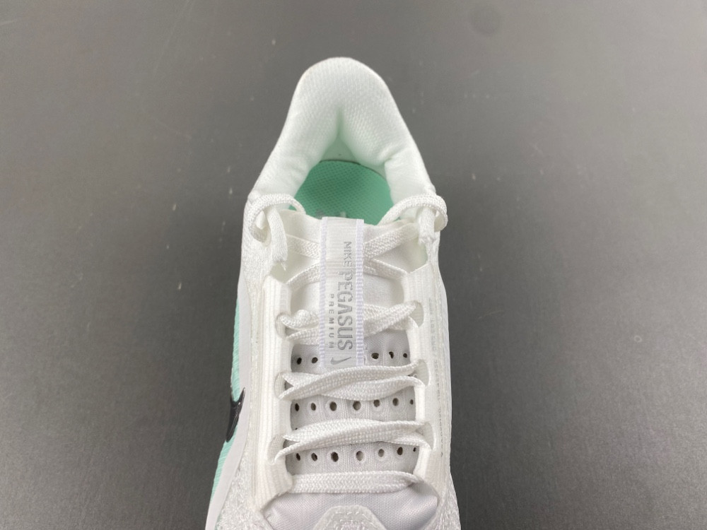 nike pegasus preM1vm white mint foam hq2593-103