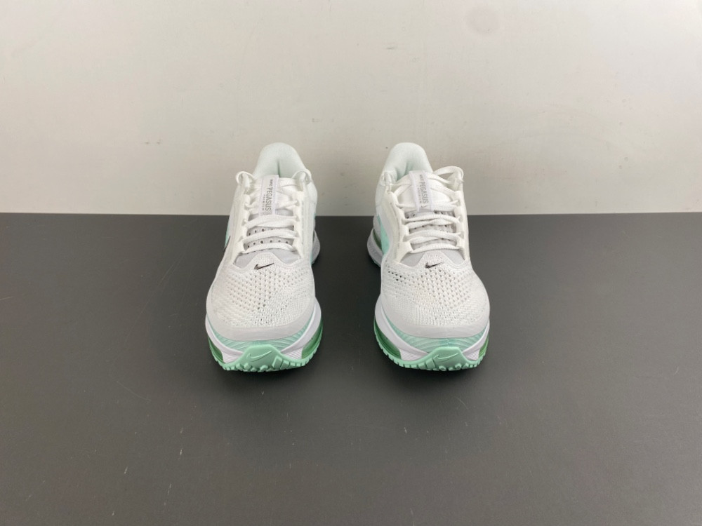 nike pegasus preM1vm white mint foam hq2593-103