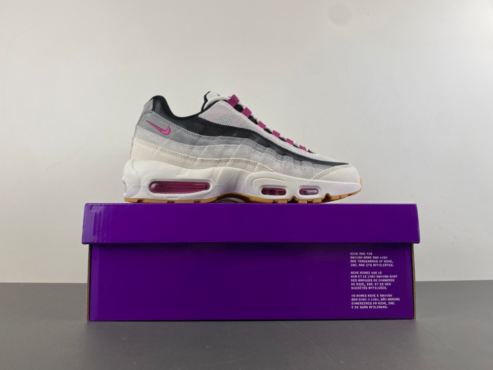Nike Air Max 95 SB Cactus Flower Men