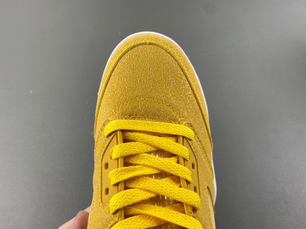 Jordan 5 Retro Michigan PE (2021) HQ7978-701