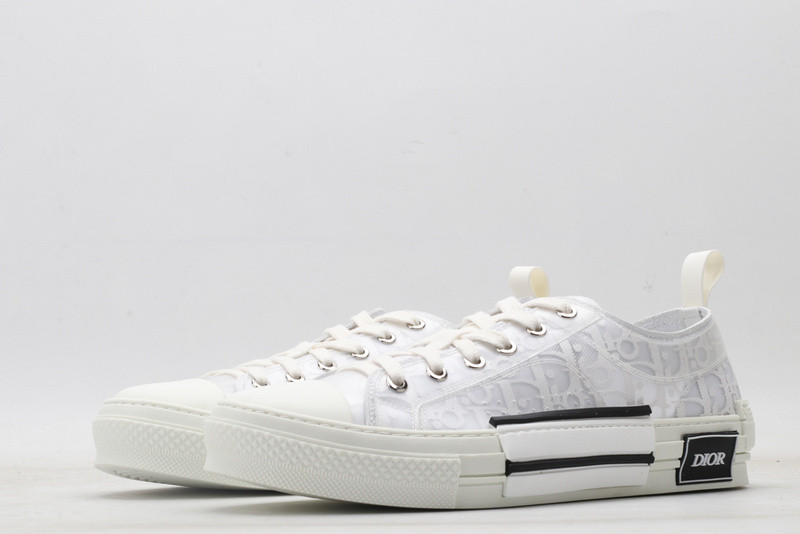 D10r b23 oblique low sneaker