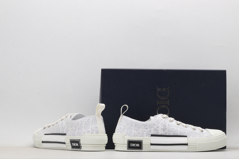 D10r b23 oblique low sneaker