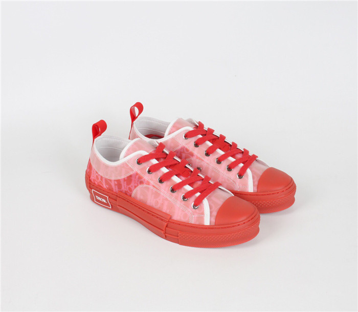 D10r b23 oblique low top sneaker