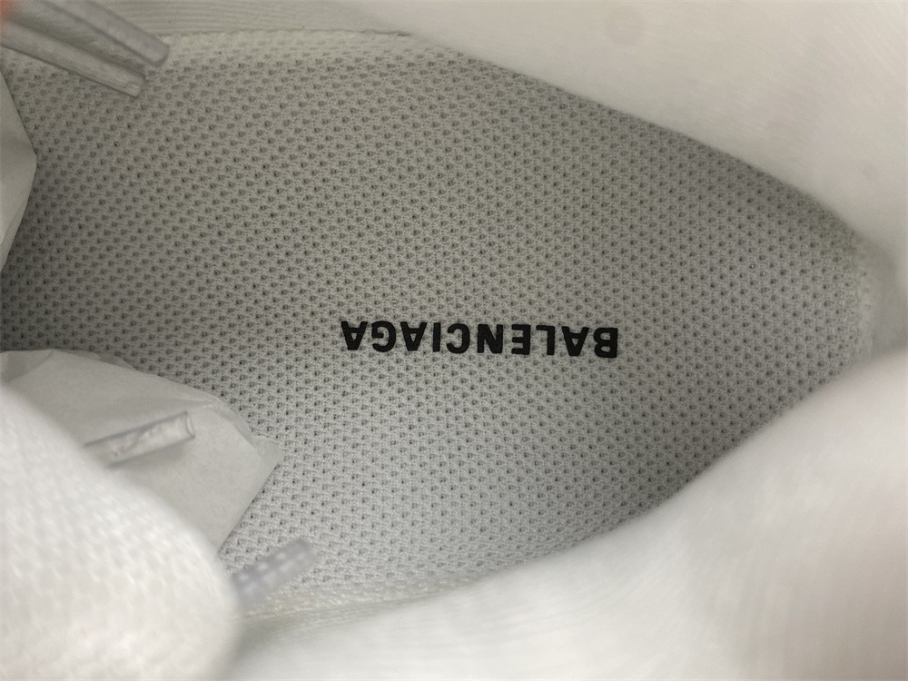 Ba1en*iaga 3.0 track trainer white