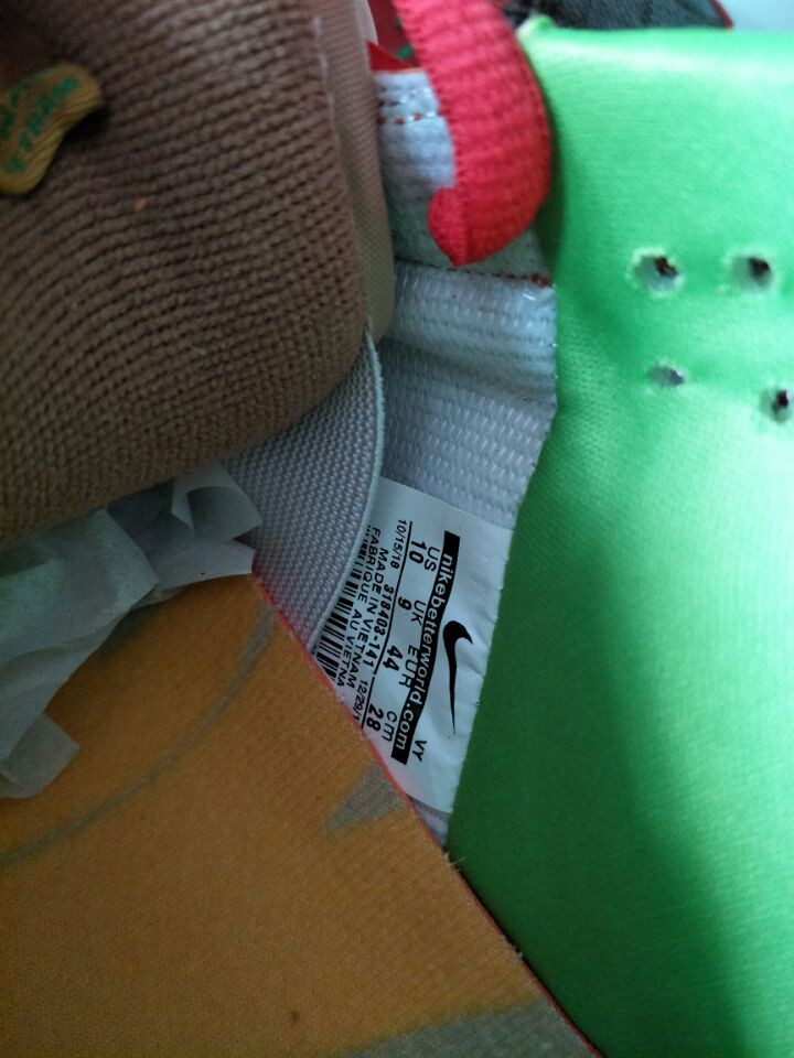 nike dunk sb low what the dunk 318403-141