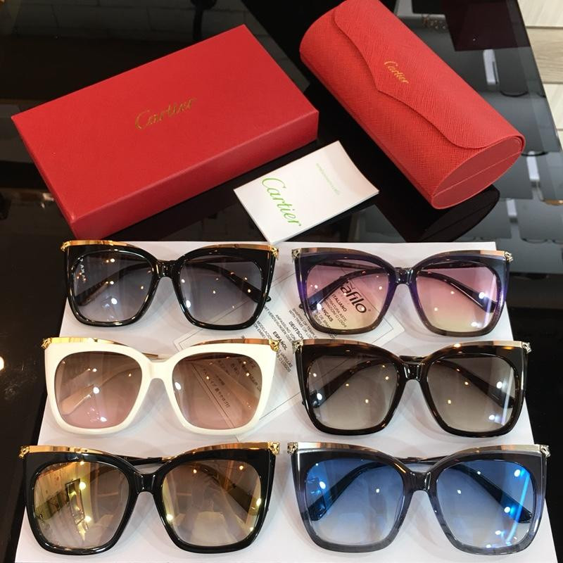 Ca*t1er panth re de Ca*t1er sunglasses esw00298