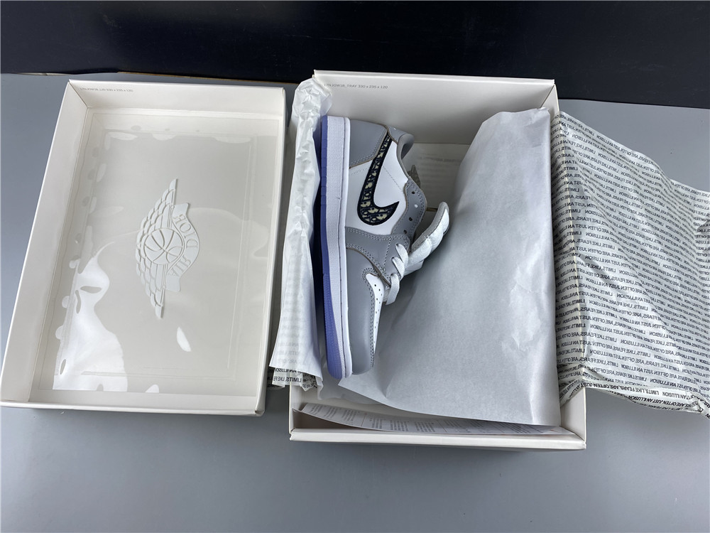 jordan 1 retro low D*or - cn8608 002