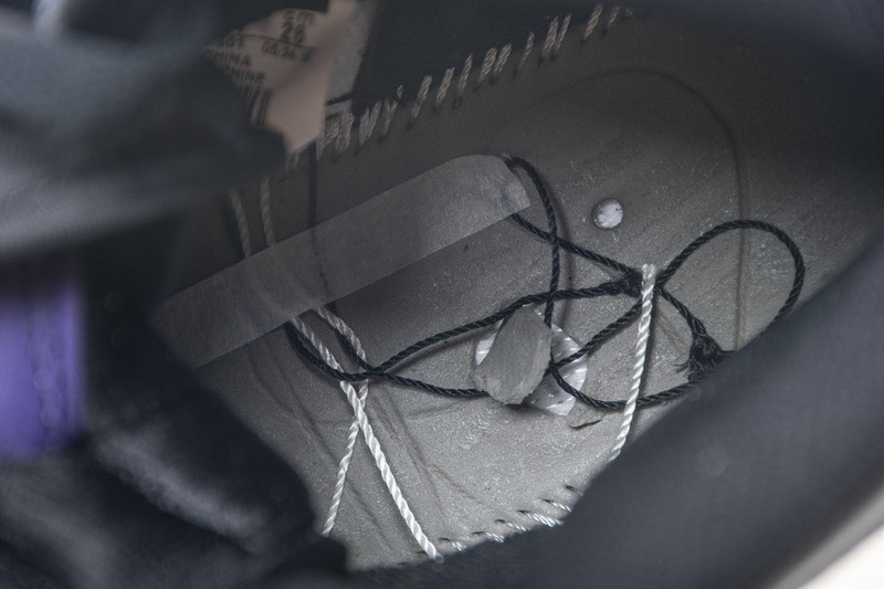 air jordan 1 retro high og court purple 555088-501