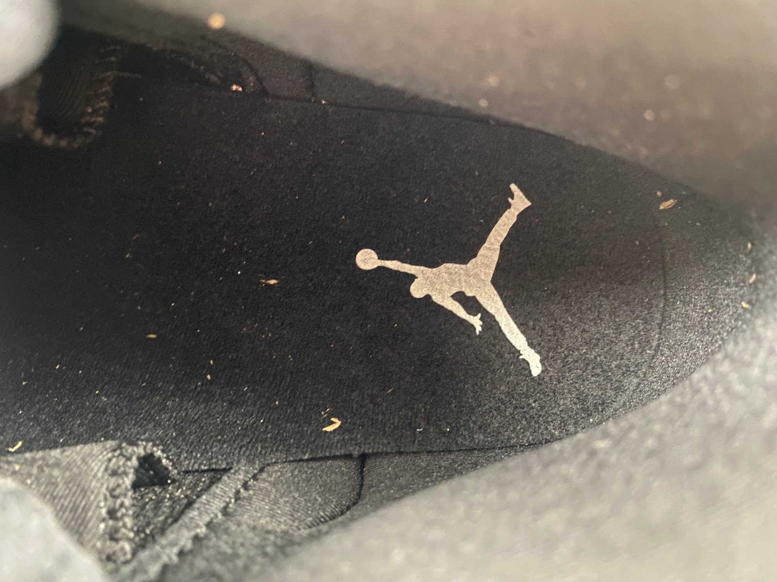 air jordan 12 black wolf grey - sep 2024 - ct8013-010