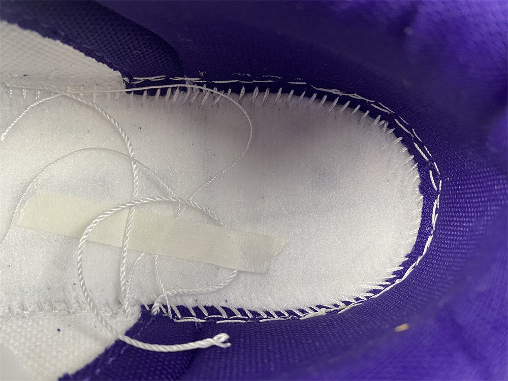 nike dunk low championship court purple dd1391-104