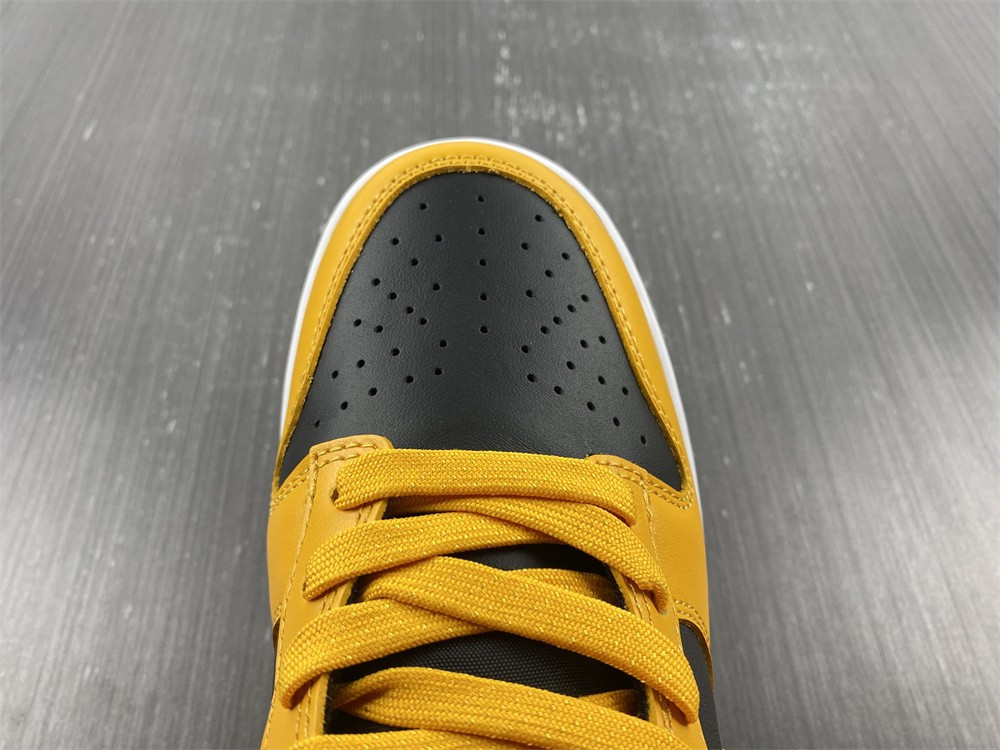 nike dunk low G01denrod (2021) - dd1391-004