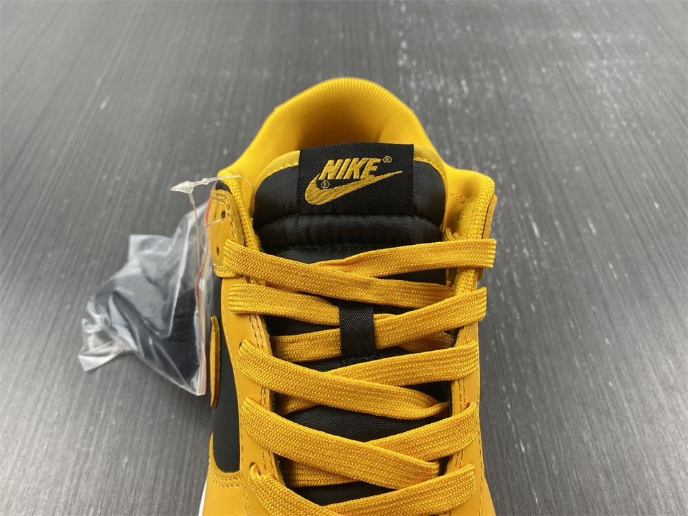 nike dunk low G01denrod (2021) - dd1391-004