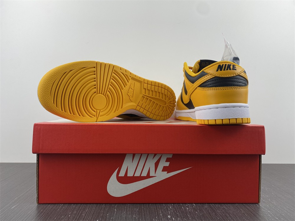 nike dunk low G01denrod (2021) - dd1391-004