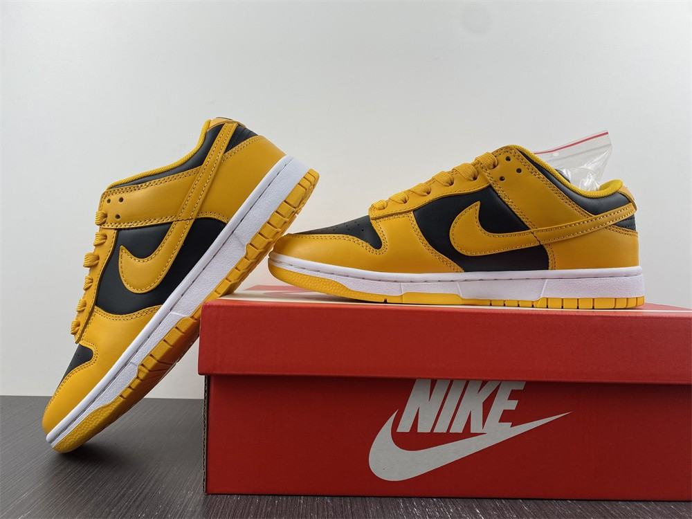 nike dunk low G01denrod (2021) - dd1391-004