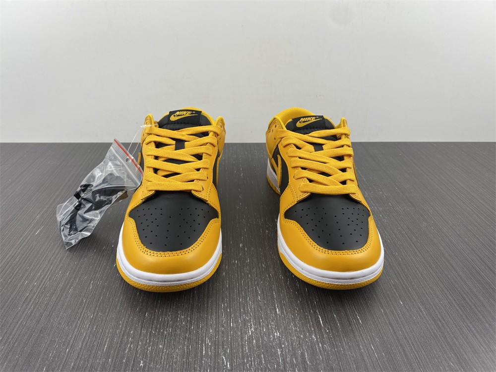 nike dunk low G01denrod (2021) - dd1391-004