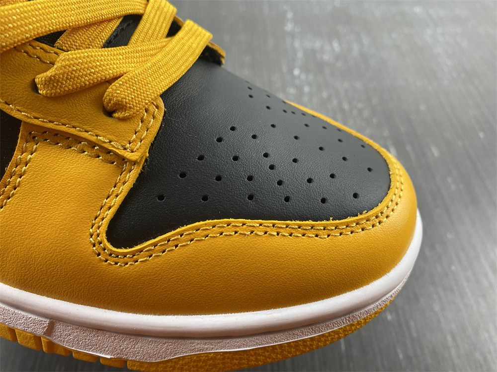 nike dunk low G01denrod (2021) - dd1391-004