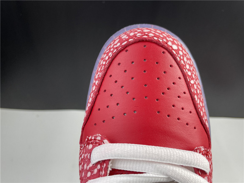 nike dunk sb low stingwater magic mushroom dh7650-600