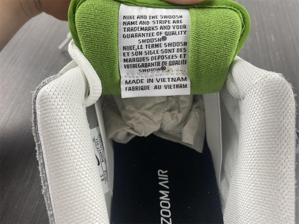 nike sb dunk low Ch10rophyll - bq6817-011