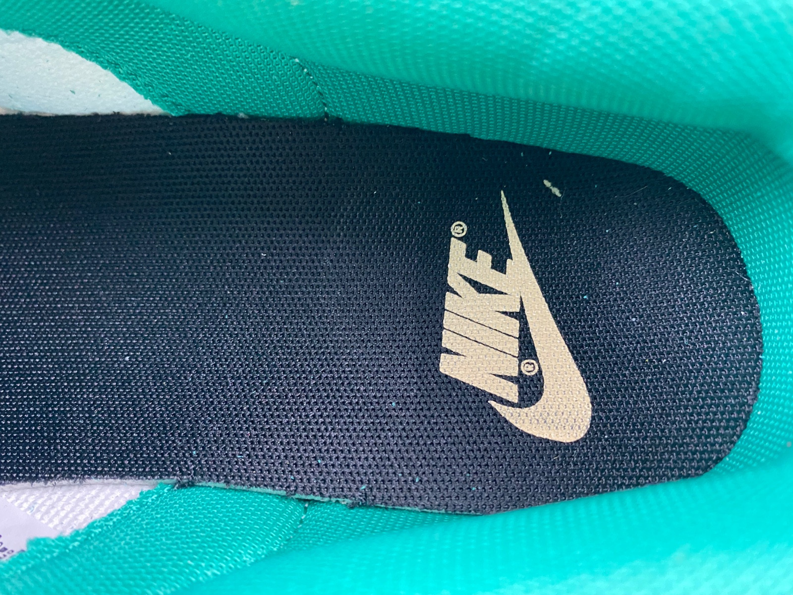 nike dunk low se 85 neptune green (w) do9457-101