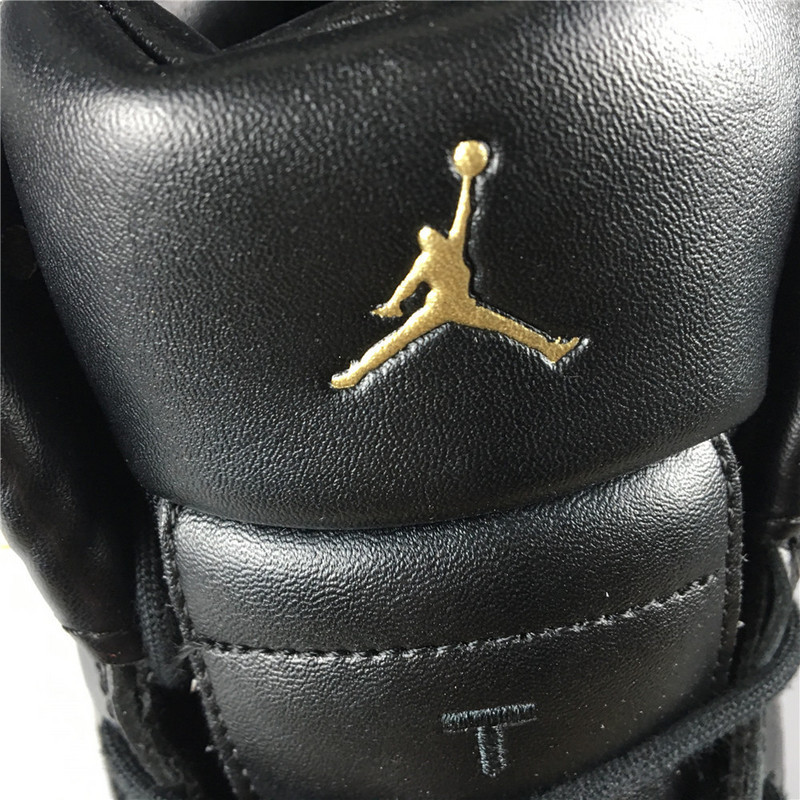 air jordan 12 wmns wings ao6068-007