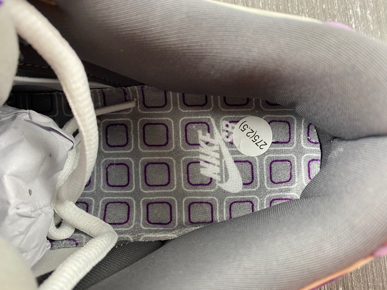 dunk sb low purple pigeon 304292-051