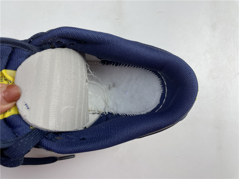 nike dunk low michigan dd1391-700