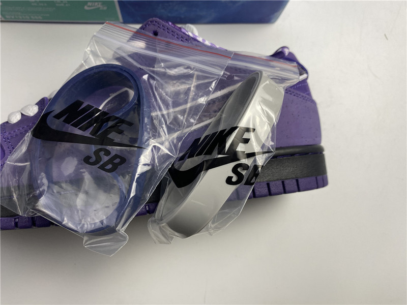 nike sb dunk low x concepts bv1310-555