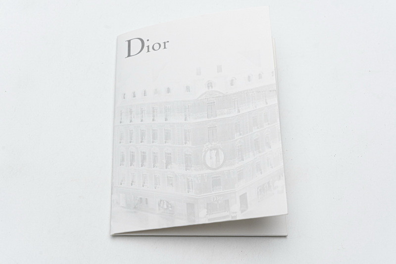 D*or b23 oblique low sneaker