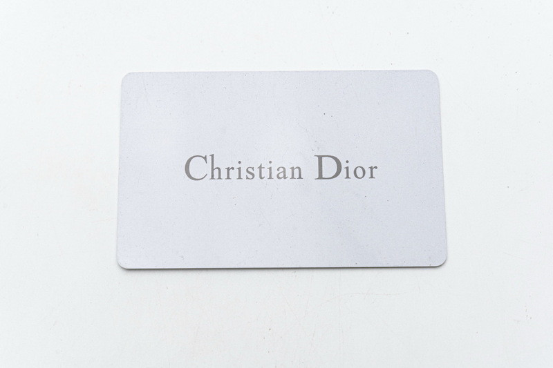 D*or b23 oblique low sneaker