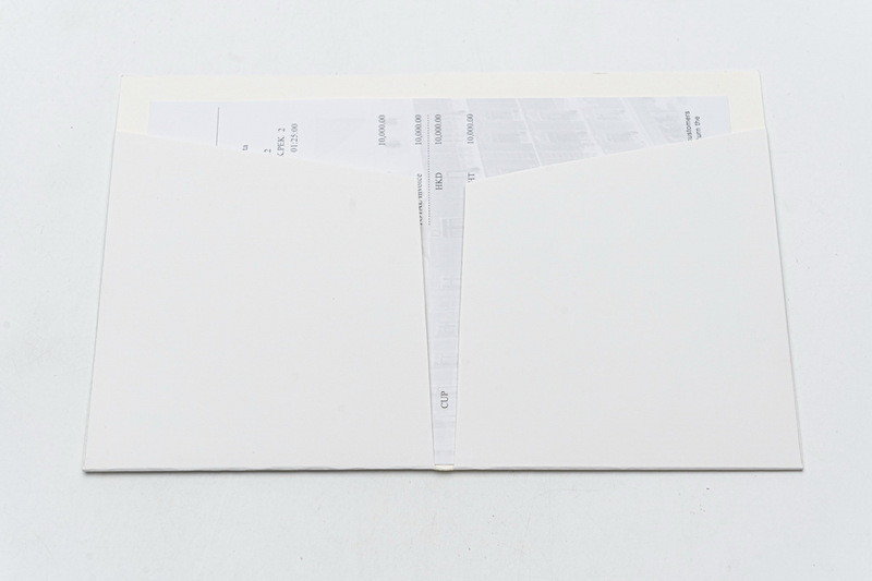 D*or b23 oblique low sneaker