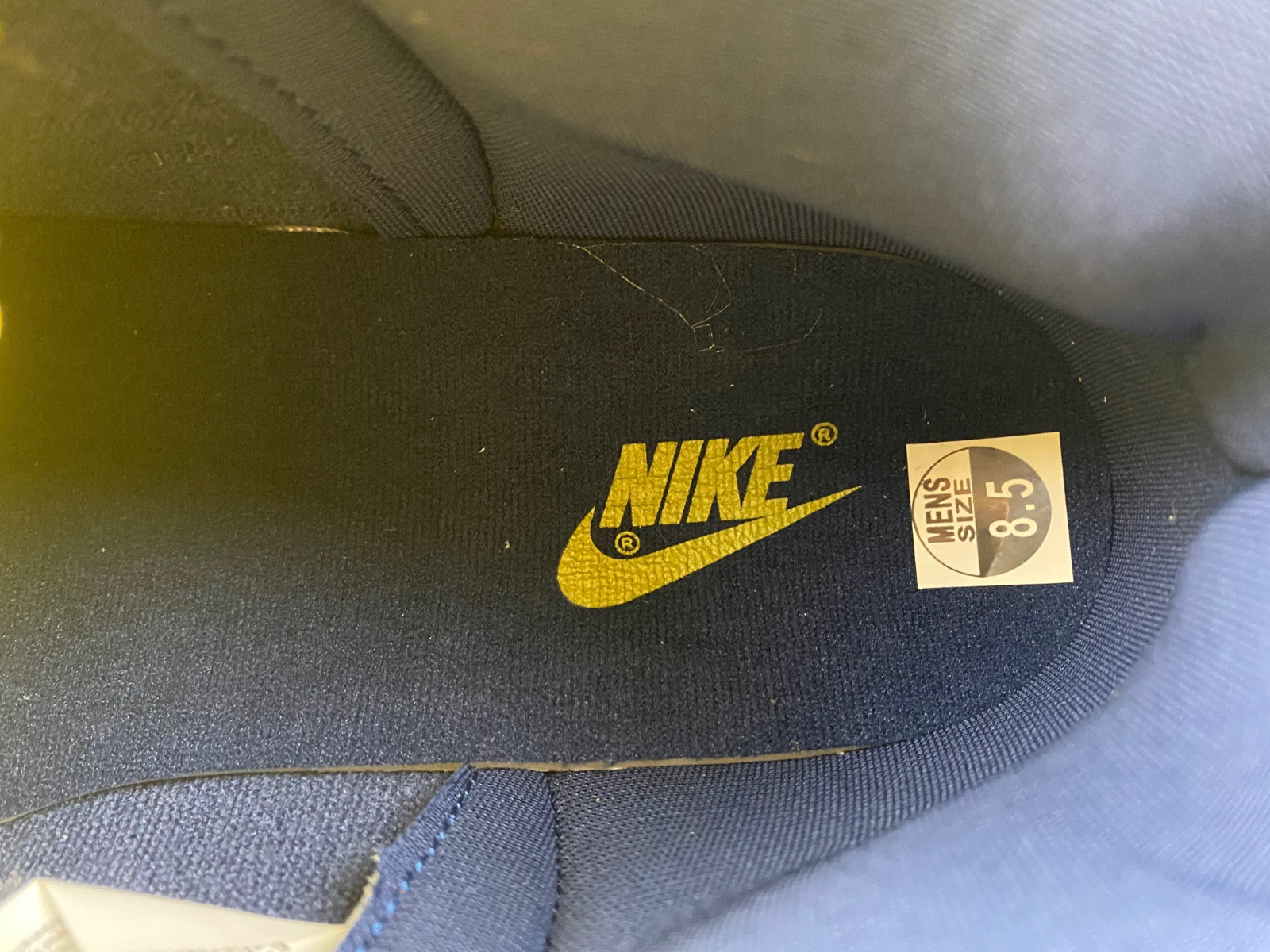 nike dunk high michigan (2020) - cz8149-700