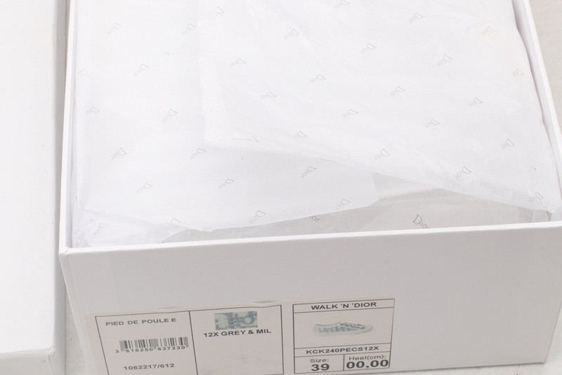 D*or b23 oblique low sneaker