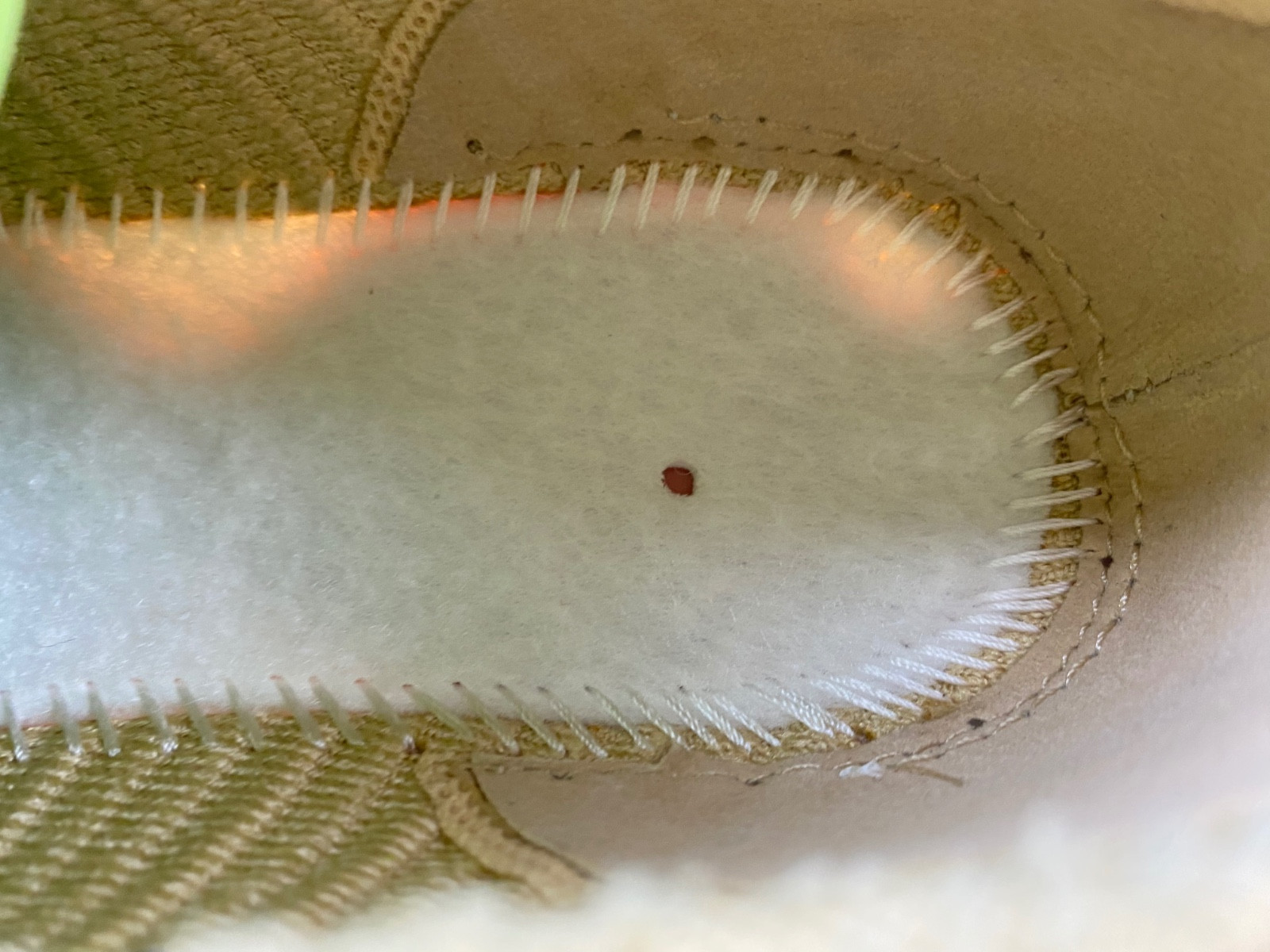 nike air max scorpion "wheat" dj4702-200