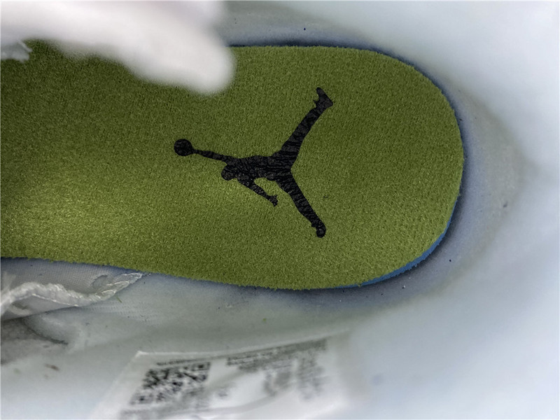 jordan 6 retro alligator (gs) - 384665-110