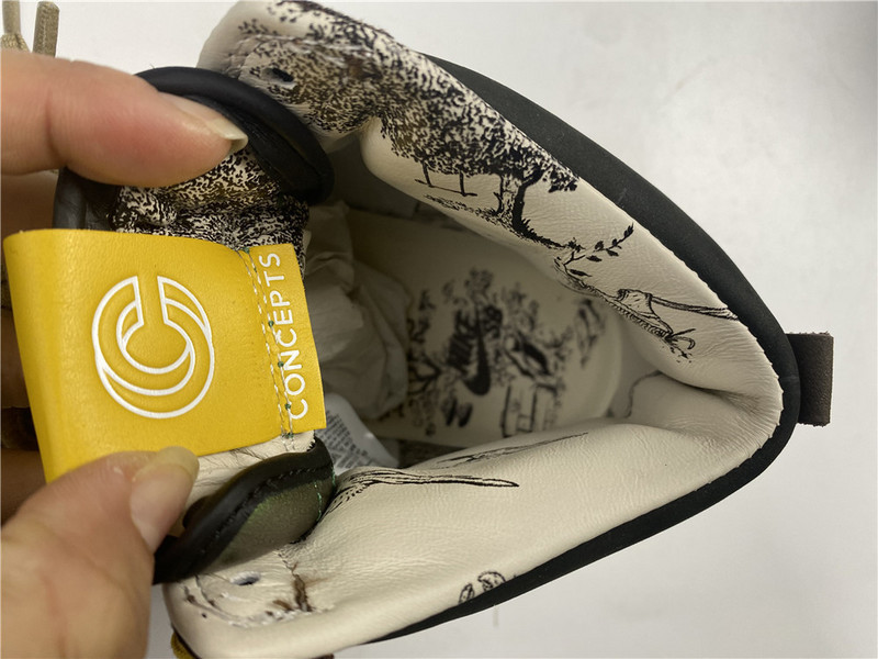 concepts x nike sb duck high pro qs "mallard" dc6887-200